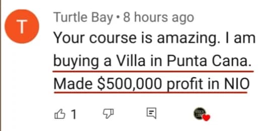 YouTube course comment screenshot from Turtle Bay